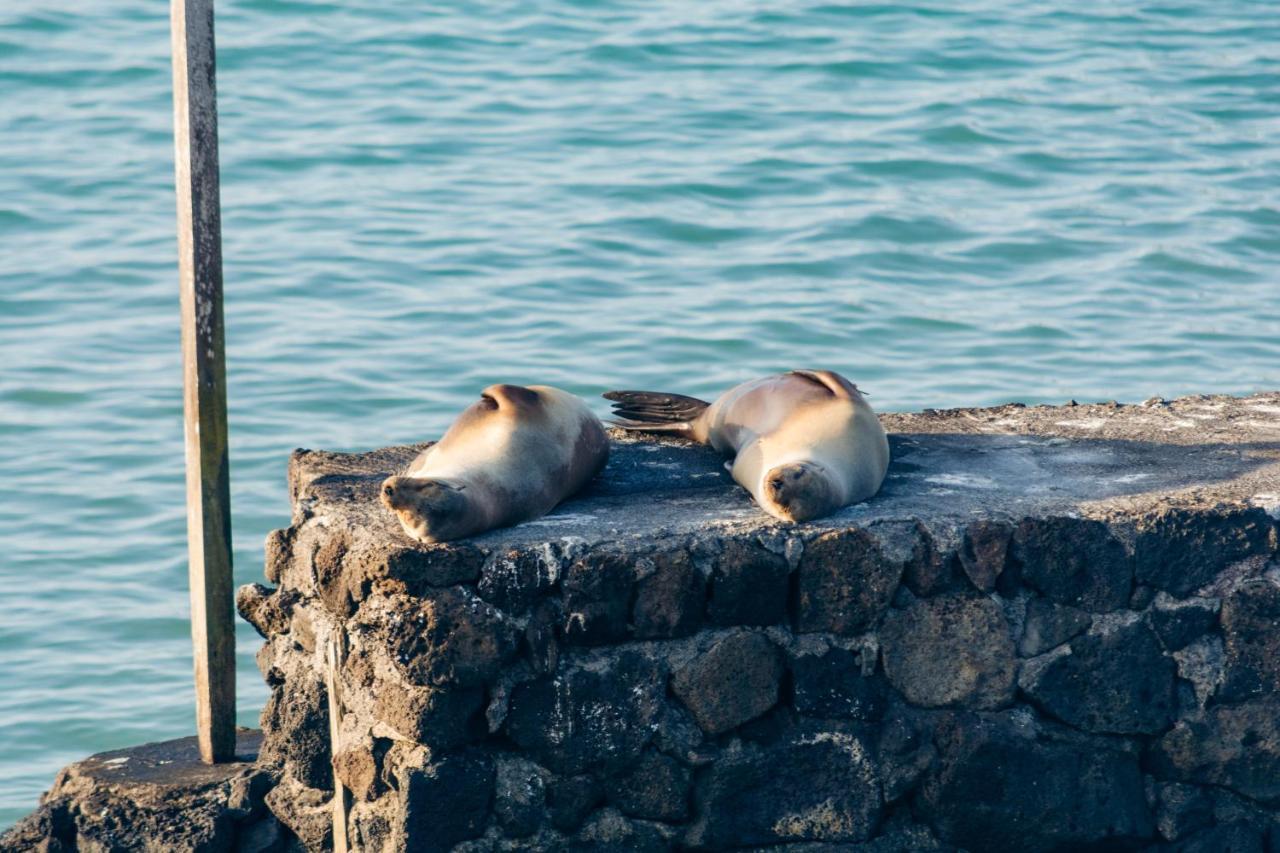 Blu Galapagos Sustainable Waterfront Lodge Puerto Ayora  Zewnętrze zdjęcie